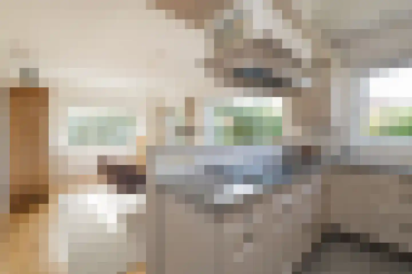 Dobbelmannduin 5 Noordwijk thumbnail 17