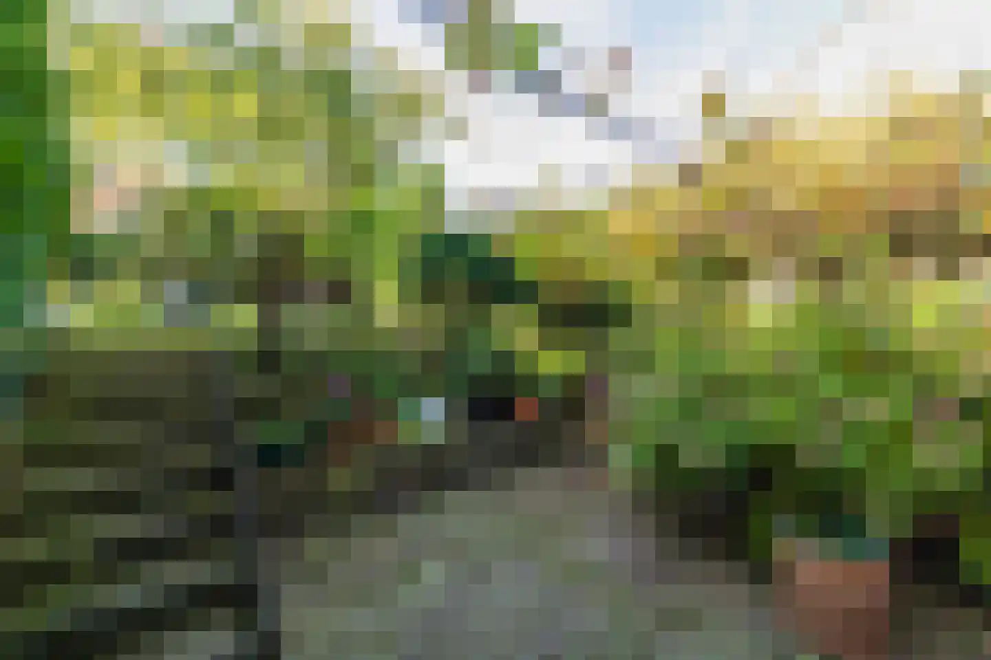 Dobbelmannduin 5 Noordwijk thumbnail 38