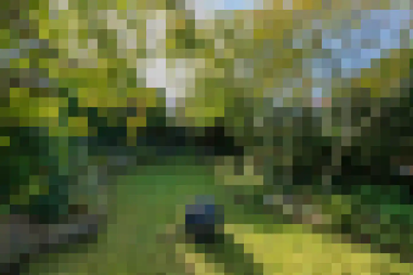 Dobbelmannduin 5 Noordwijk thumbnail 4