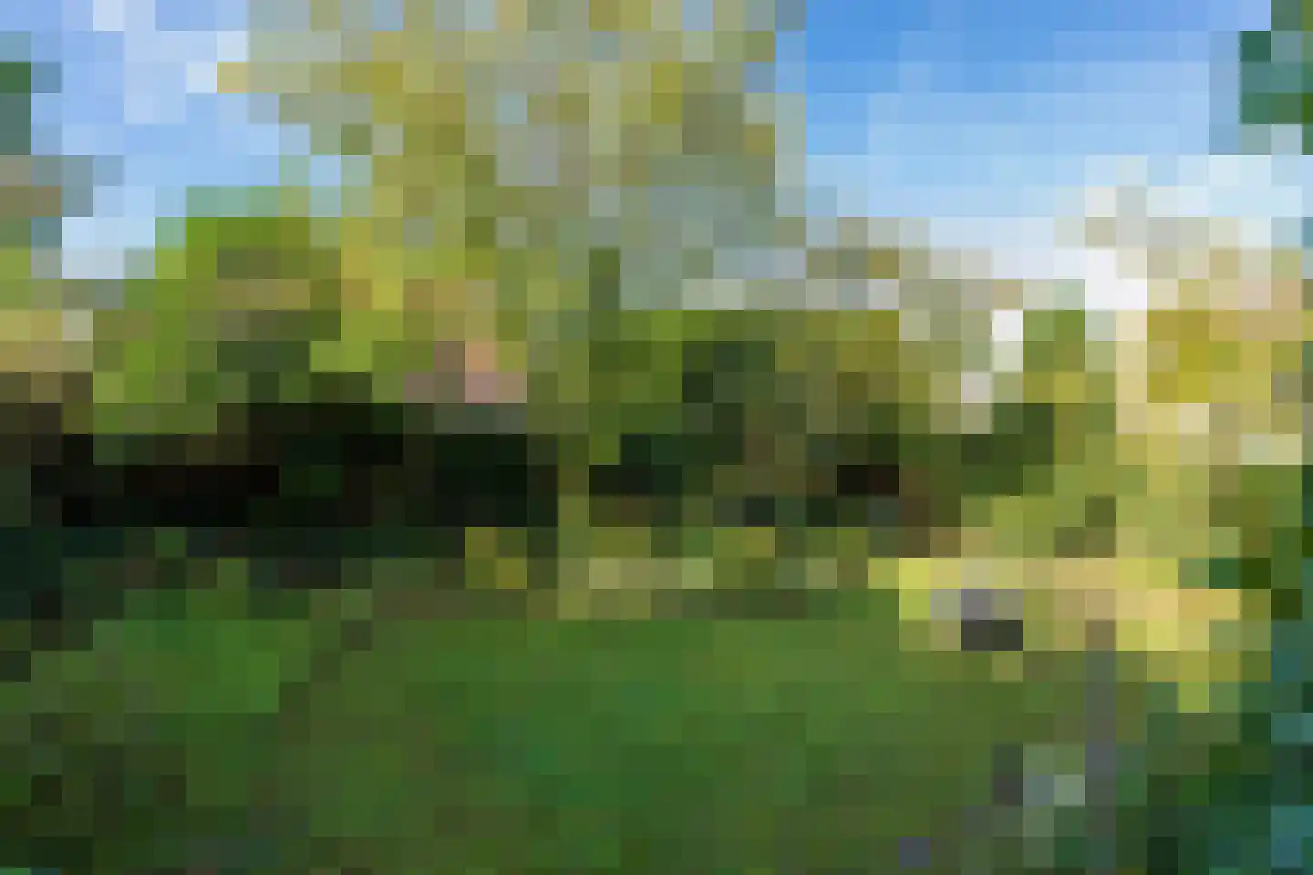 Dobbelmannduin 5 Noordwijk thumbnail 40