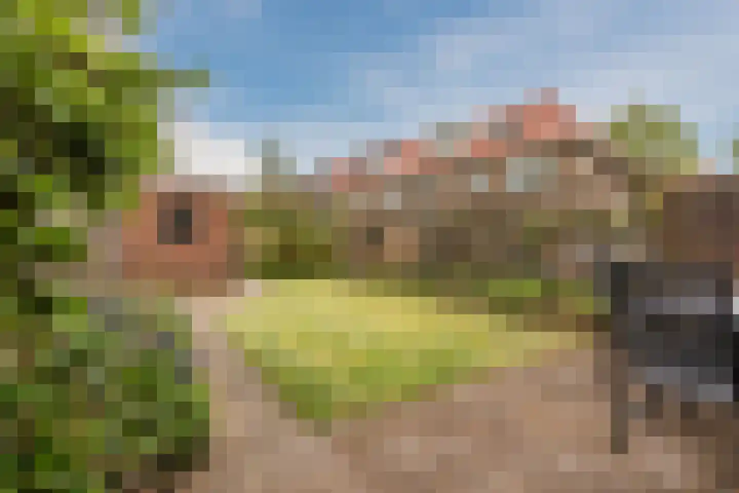 Dobbelmannweg 21 Nijmegen thumbnail 14