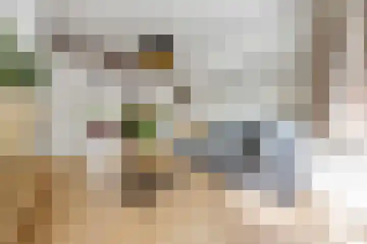 Dobbelmannweg 34 Nijmegen thumbnail 5
