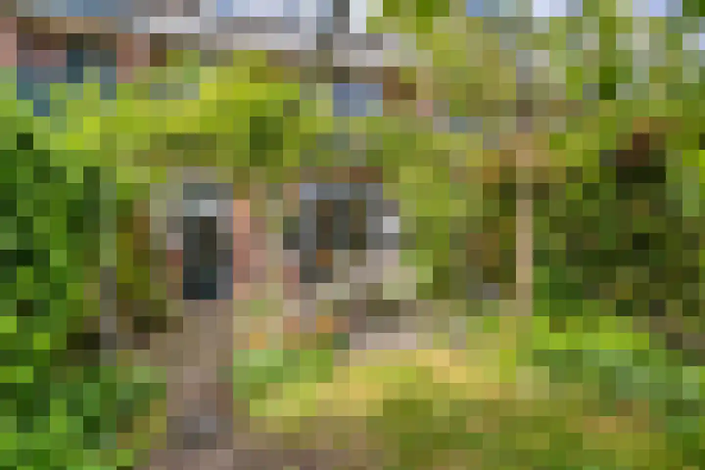 Dobbelmannweg 45 Nijmegen thumbnail 36