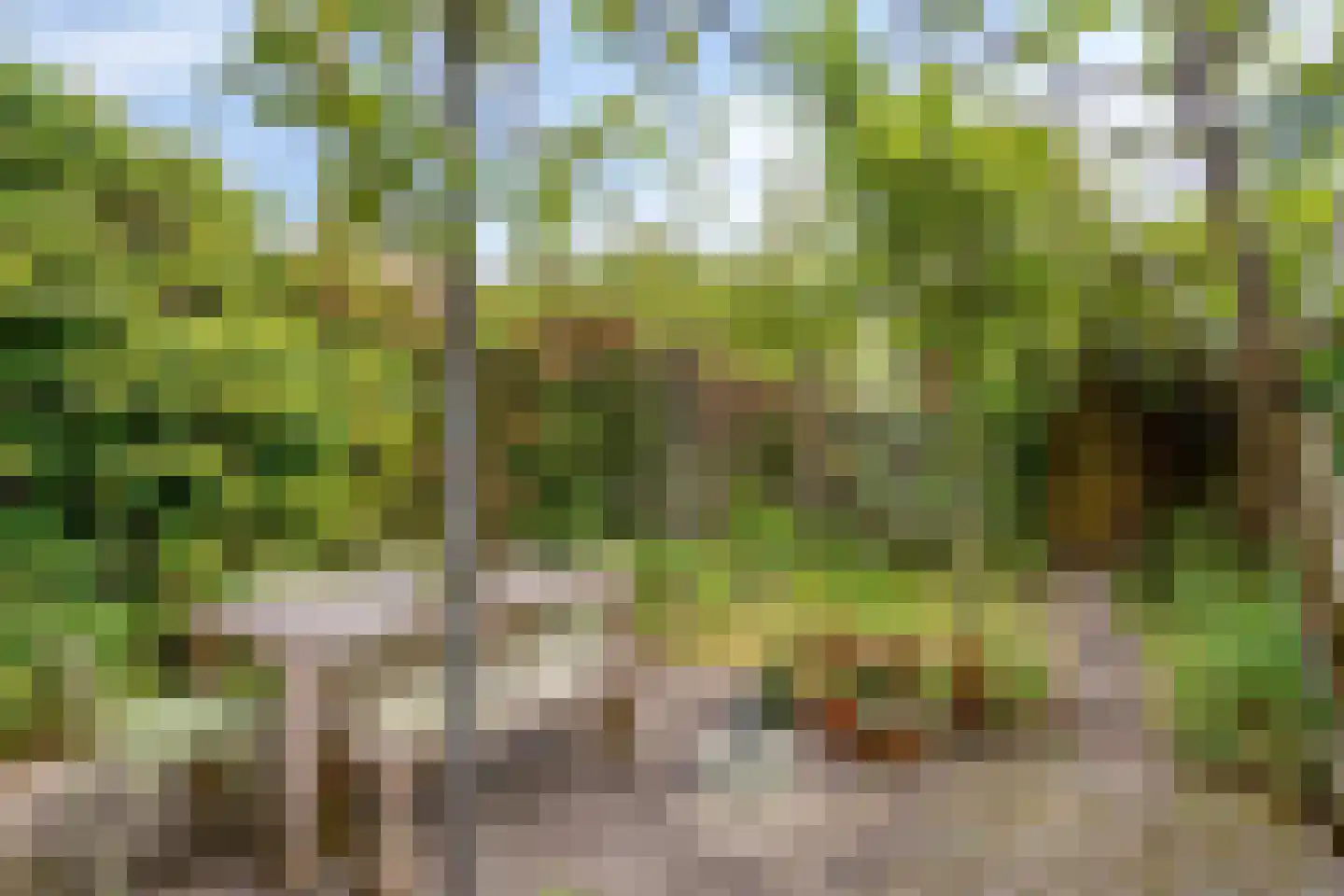 Dobbelmannweg 45 Nijmegen thumbnail 38