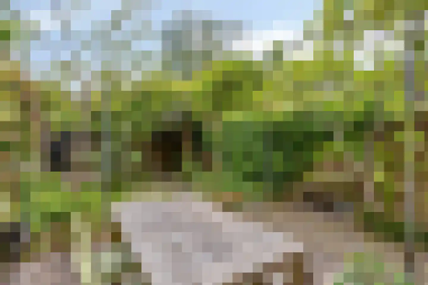 Dobbelmannweg 45 Nijmegen thumbnail 39