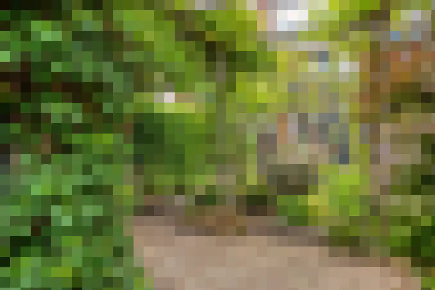 Dobbelmannweg 45 Nijmegen thumbnail 41