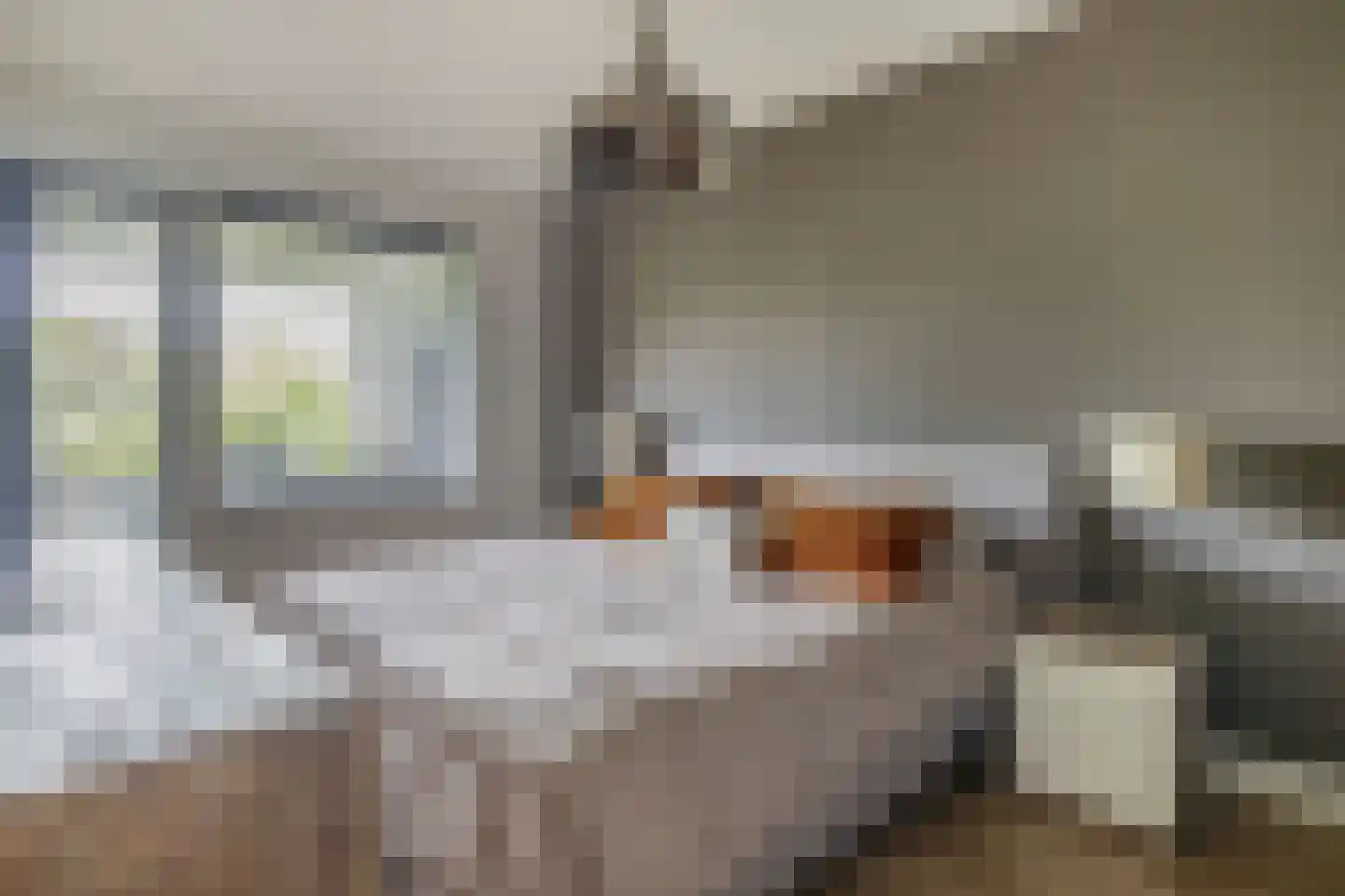 Dobbelsteenplein 2 C Veghel thumbnail 14