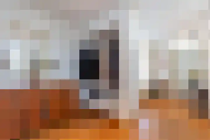 Dobbelsteynporte 14 Sittard thumbnail 12