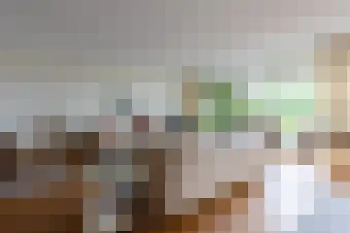 Dobbelsteynporte 14 Sittard thumbnail 16