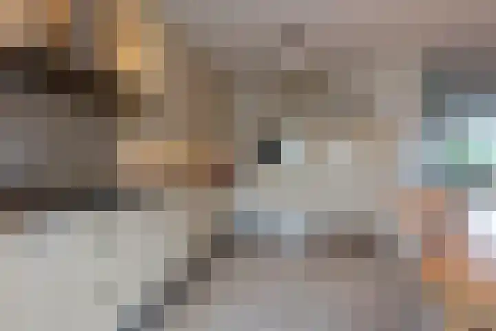 Dobbelsteynporte 14 Sittard thumbnail 25