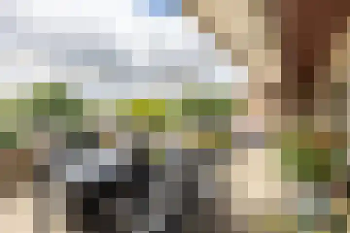 Dobbelsteynporte 14 Sittard thumbnail 28