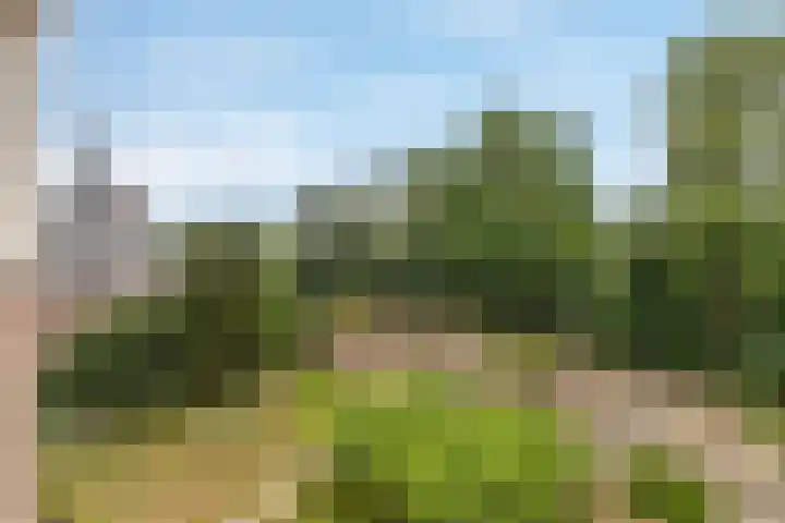 Dobbelsteynporte 14 Sittard thumbnail 29