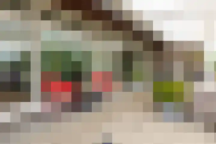Dobbelsteynporte 14 Sittard thumbnail 30