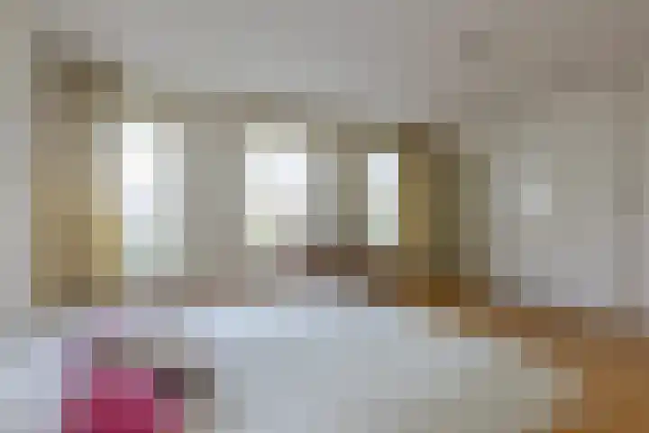 Dobbelsteynporte 14 Sittard thumbnail 35