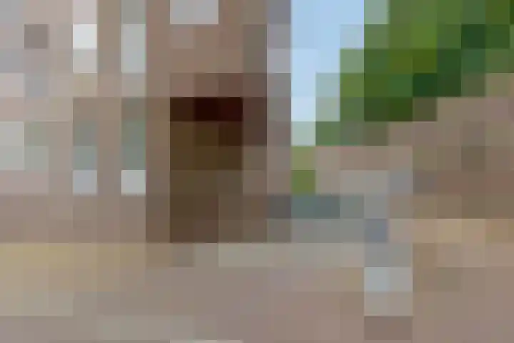 Dobbelsteynporte 14 Sittard thumbnail 44