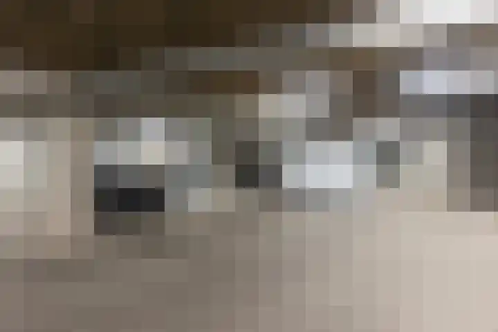 Dobbelsteynporte 14 Sittard thumbnail 45
