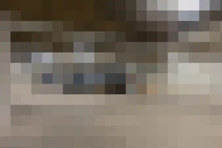 Dobbelsteynporte 14 Sittard thumbnail 46