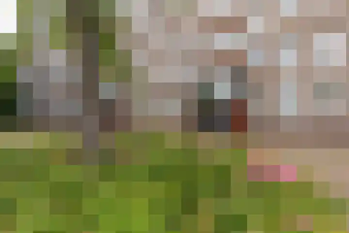 Dobbelsteynporte 14 Sittard thumbnail 9