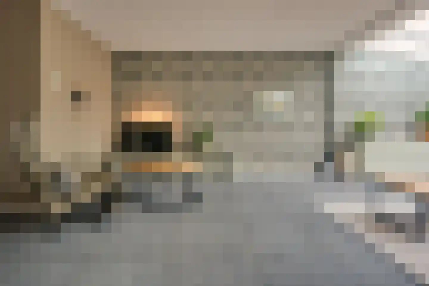 Dobbenwal 102 Assen thumbnail 4