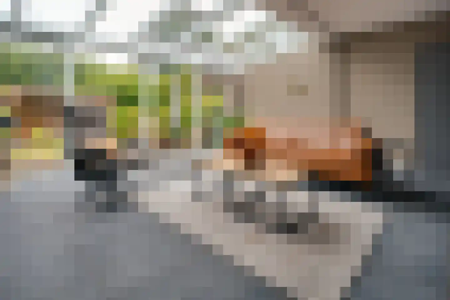 Dobbenwal 102 Assen thumbnail 5