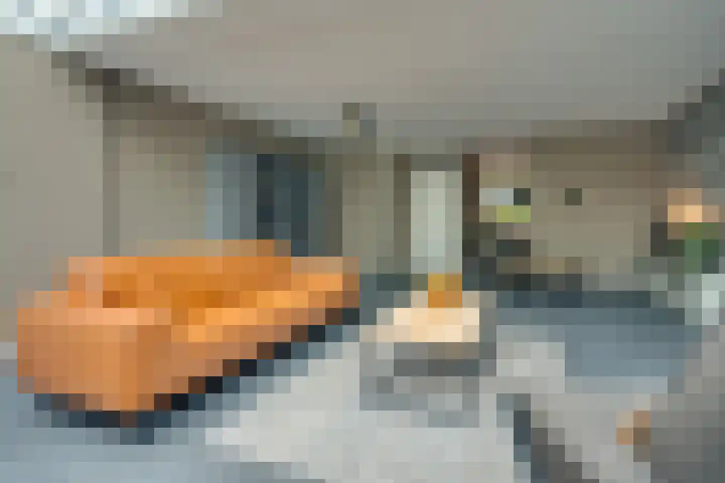 Dobbenwal 102 Assen thumbnail 6