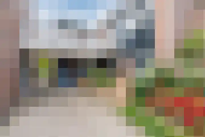 Dobbenwal 136 Assen thumbnail 26