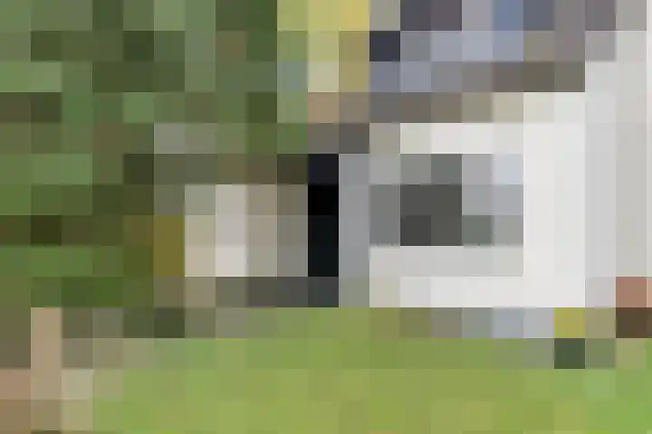 Dobbenwal 25 Assen thumbnail 10
