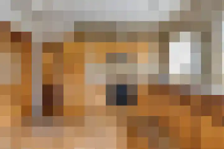 Dobbenwal 25 Assen thumbnail 18