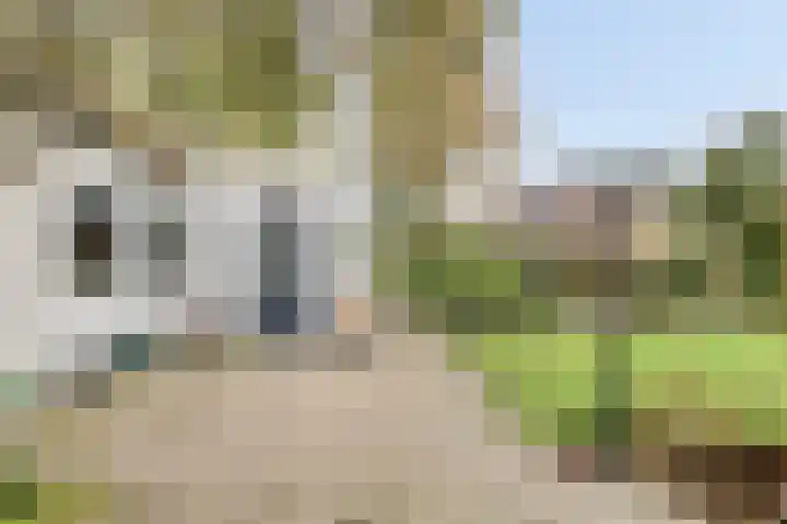Dobbenwal 25 Assen thumbnail 37