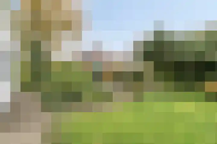 Dobbenwal 25 Assen thumbnail 38