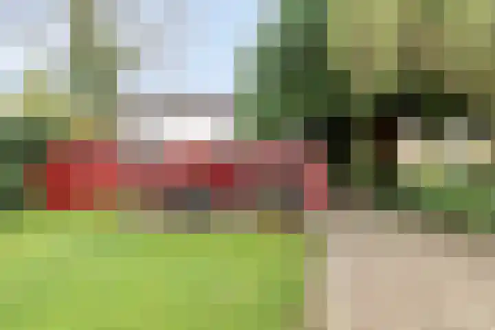 Dobbenwal 25 Assen thumbnail 42