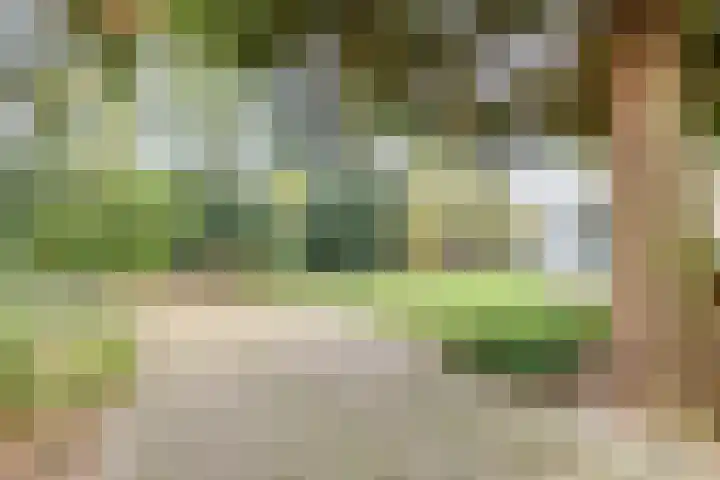 Dobbenwal 25 Assen thumbnail 45