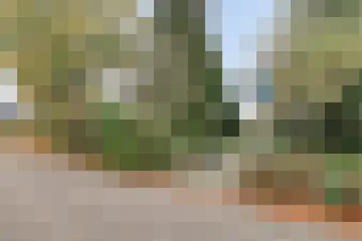 Dobbenwal 25 Assen thumbnail 6