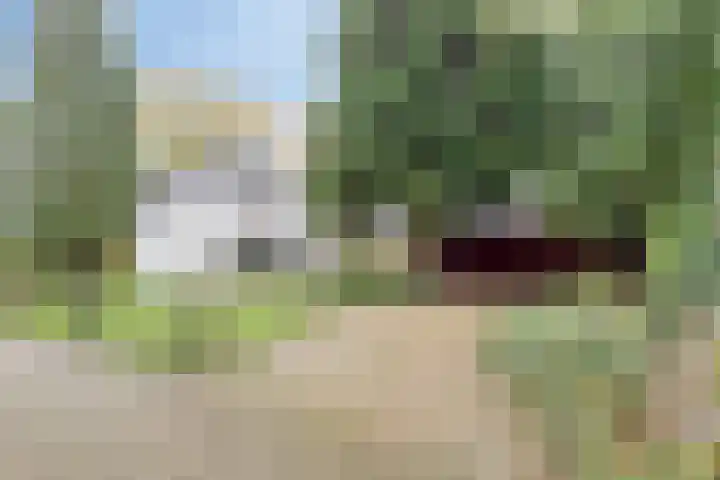 Dobbenwal 25 Assen thumbnail 7