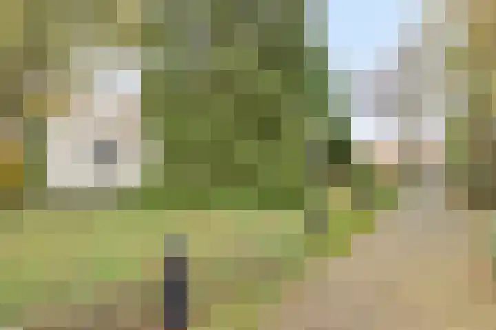 Dobbenwal 25 Assen thumbnail 9