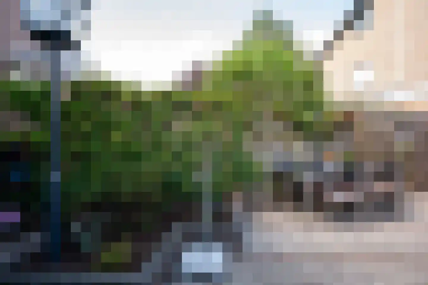 Dobbenwal 35 Assen thumbnail 24