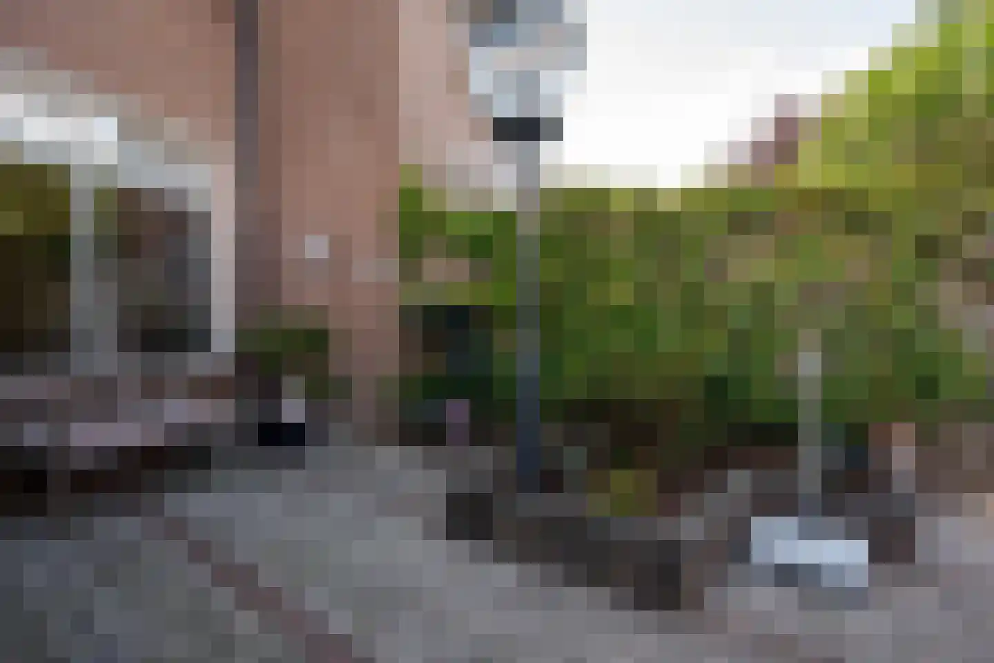 Dobbenwal 35 Assen thumbnail 26