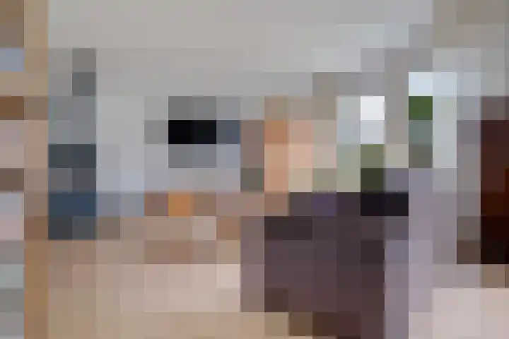 Dobbenwal 43 Assen thumbnail 12