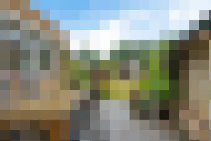 Dobbenwal 43 Assen thumbnail 41