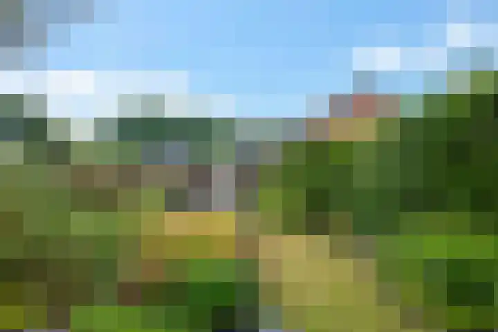 Dobbenwal 43 Assen thumbnail 43