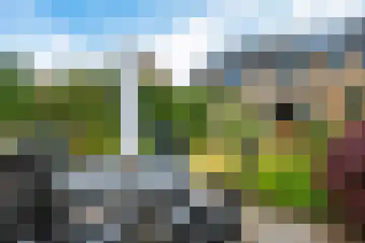 Dobbenwal 43 Assen thumbnail 44