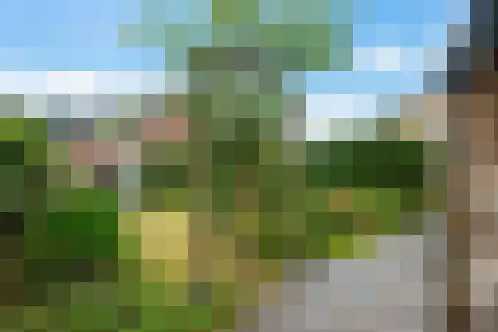 Dobbenwal 43 Assen thumbnail 46