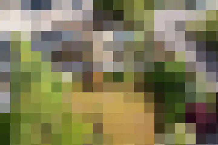 Dobbenwal 43 Assen thumbnail 47