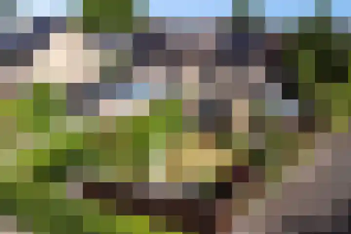 Dobbenwal 43 Assen thumbnail 48