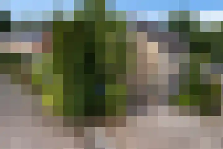 Dobbenwal 43 Assen thumbnail 51