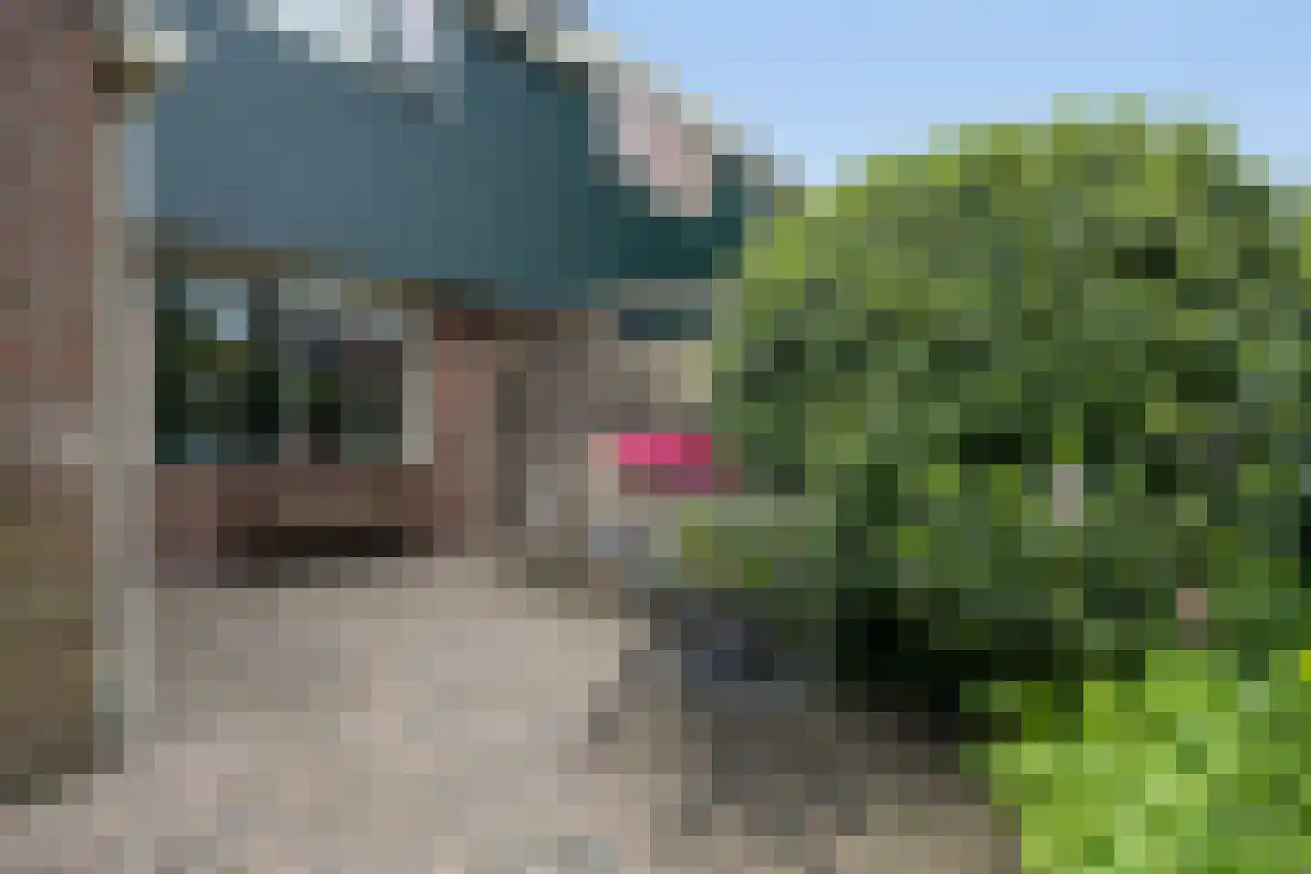 Dobbenwal 53 A Assen thumbnail 24