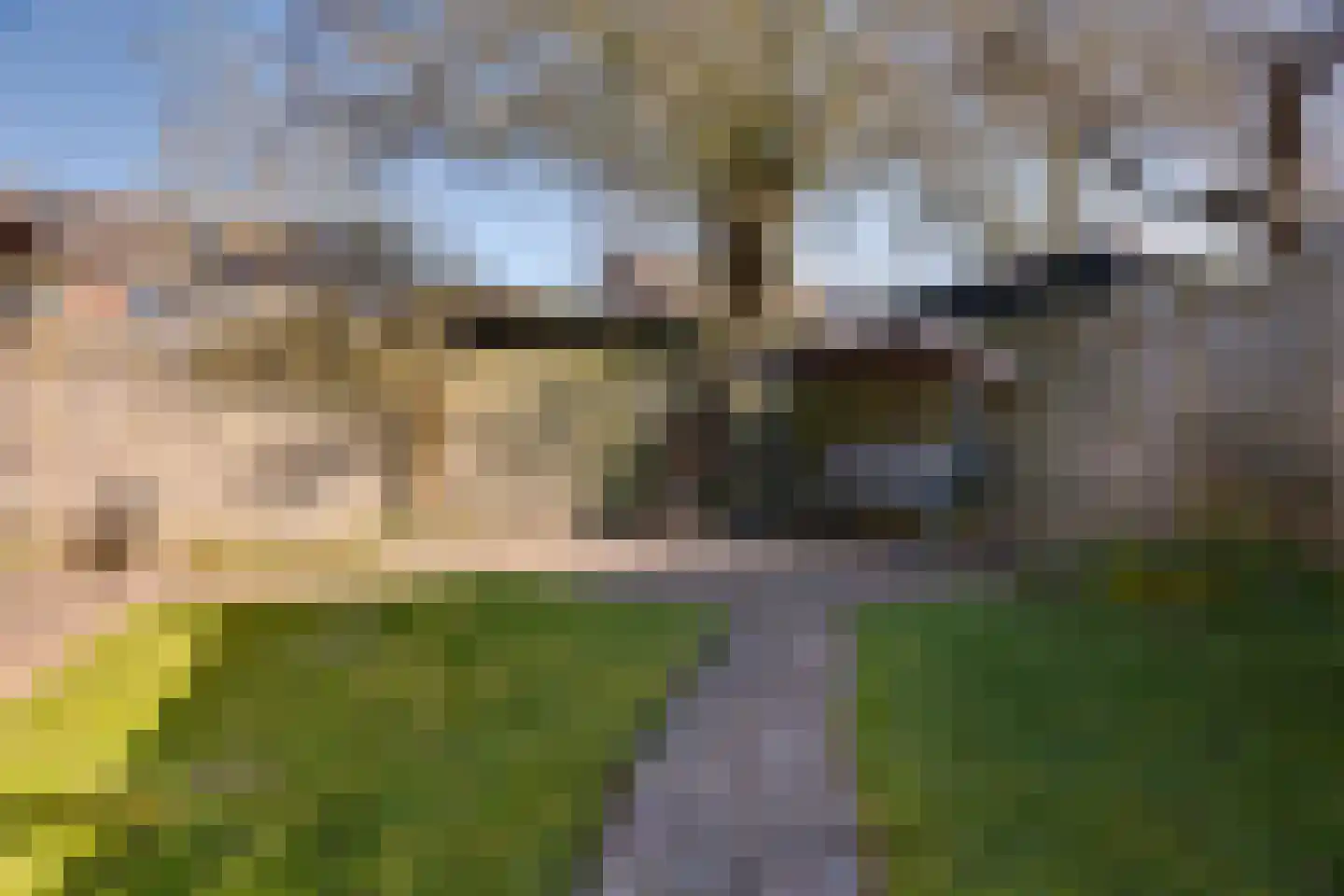 Dobbenwal 61 Assen thumbnail 29