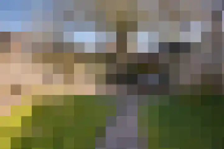 Dobbenwal 61 Assen thumbnail 29