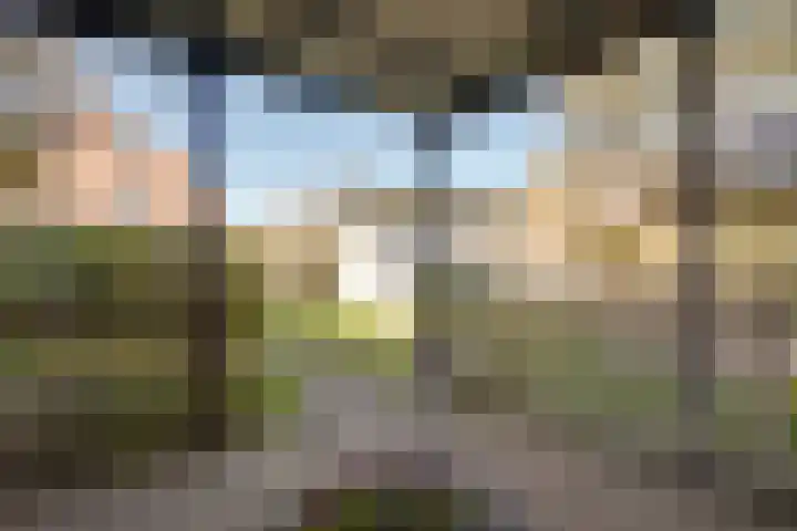 Dobbenwal 61 Assen thumbnail 31