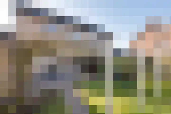 Dobbenwal 61 Assen thumbnail 33